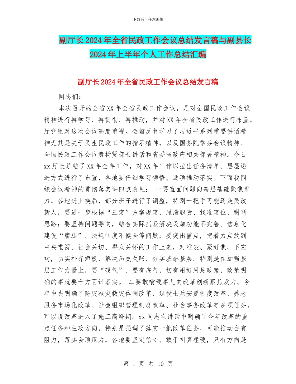 副厅长2024年全省民政工作会议总结发言稿与副县长2024年上半年个人工作总结汇编_第1页
