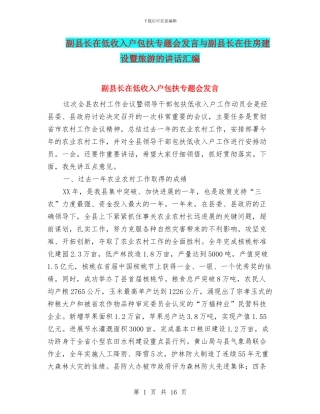 副县长在低收入户包扶专题会发言与副县长在住房建设暨旅游的讲话汇编