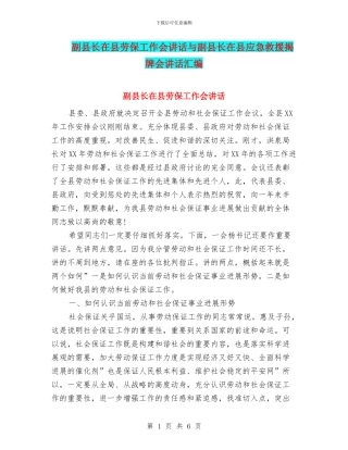 副县长在县劳保工作会讲话与副县长在县应急救援揭牌会讲话汇编