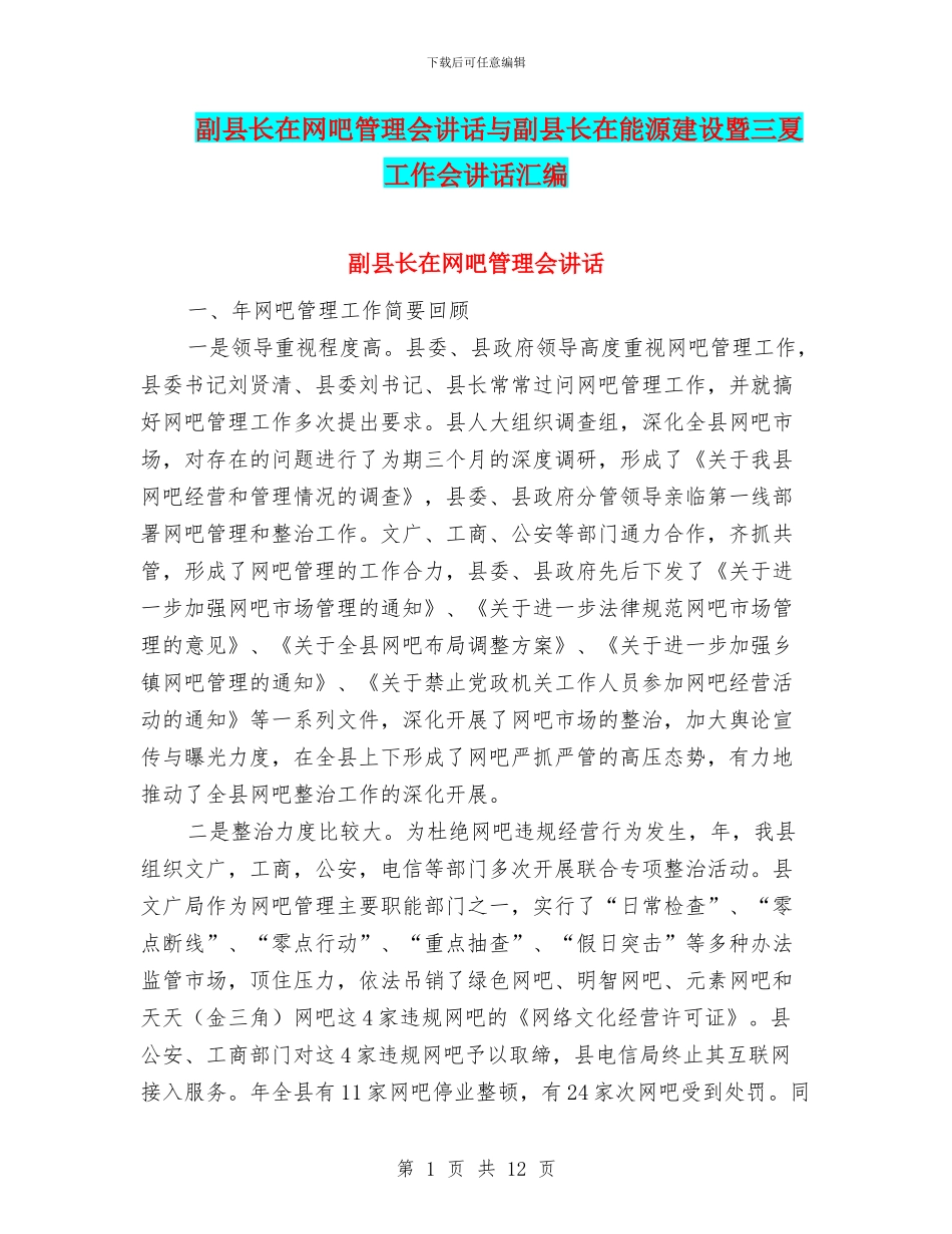 副县长在网吧管理会讲话与副县长在能源建设暨三夏工作会讲话汇编_第1页