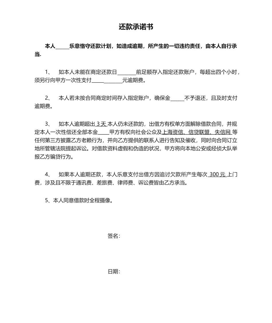 2025年还款承诺书_第1页