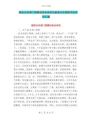 副县长在部门预算动员会讲话与副县长在重阳节的讲话汇编