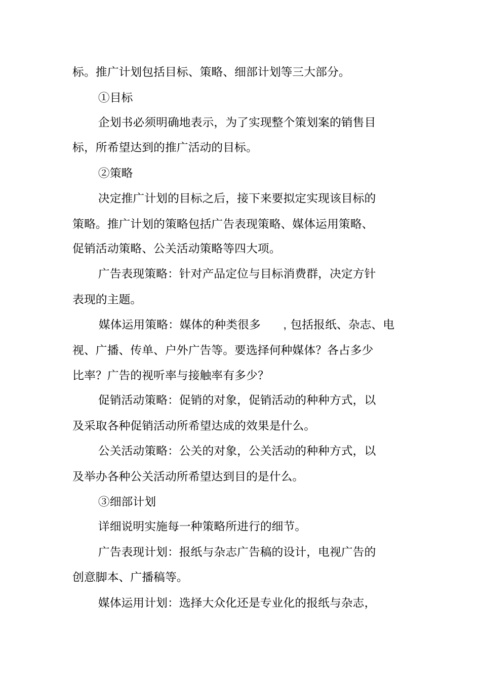 企业策划书格式-企业策划书范文_第3页