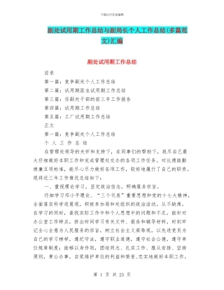 副处试用期工作总结与副局长个人工作总结汇编