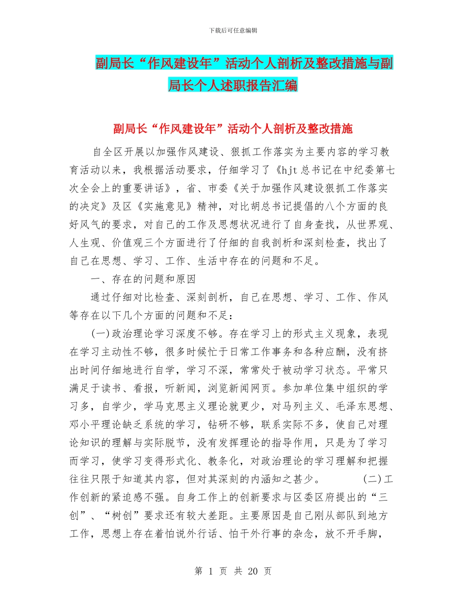 副局长“作风建设年”活动个人剖析及整改措施与副局长个人述职报告汇编_第1页