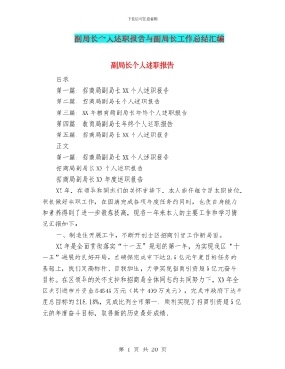 副局长个人述职报告与副局长工作总结汇编