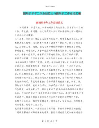 副局长半年工作总结范文与副局长工作总结汇编