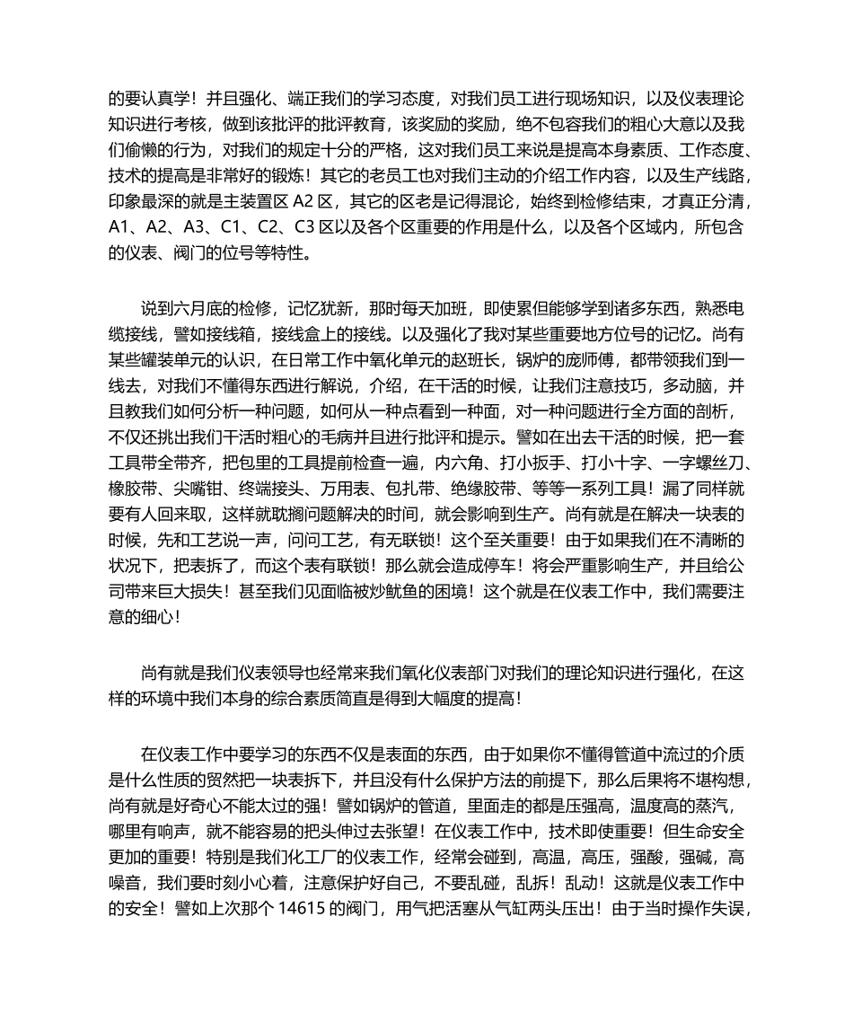 2025年仪表工作年终总结_第2页