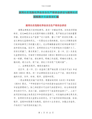 副局长在危险化学品安全生产培训会讲话与副局长在国税推介大会发言汇编