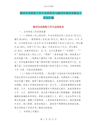 副州长在财政工作大会的发言与副州长林业安检会上讲话汇编