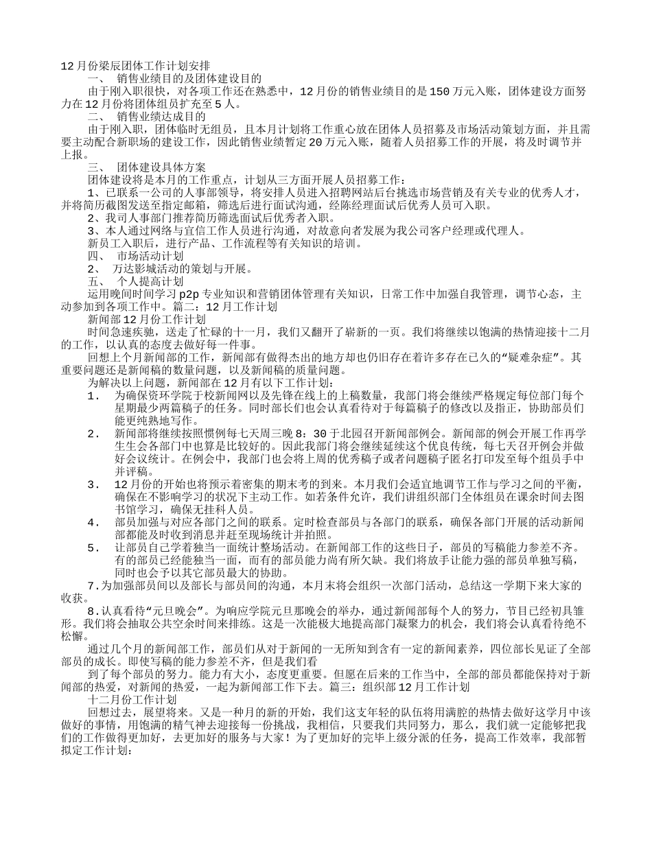 2025年十二月工作计划_第1页