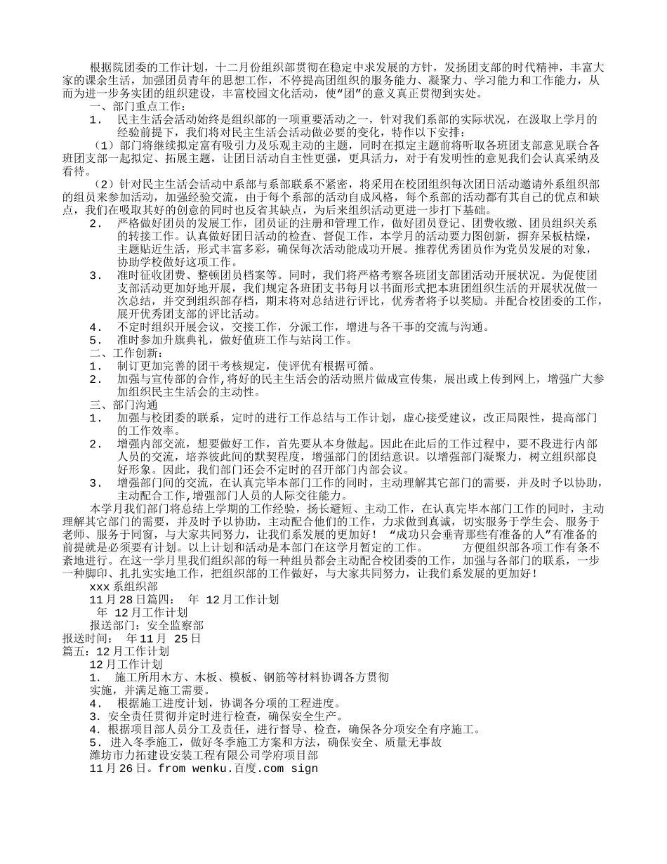 2025年十二月工作计划_第2页