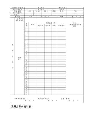 2025年砼养护记录表