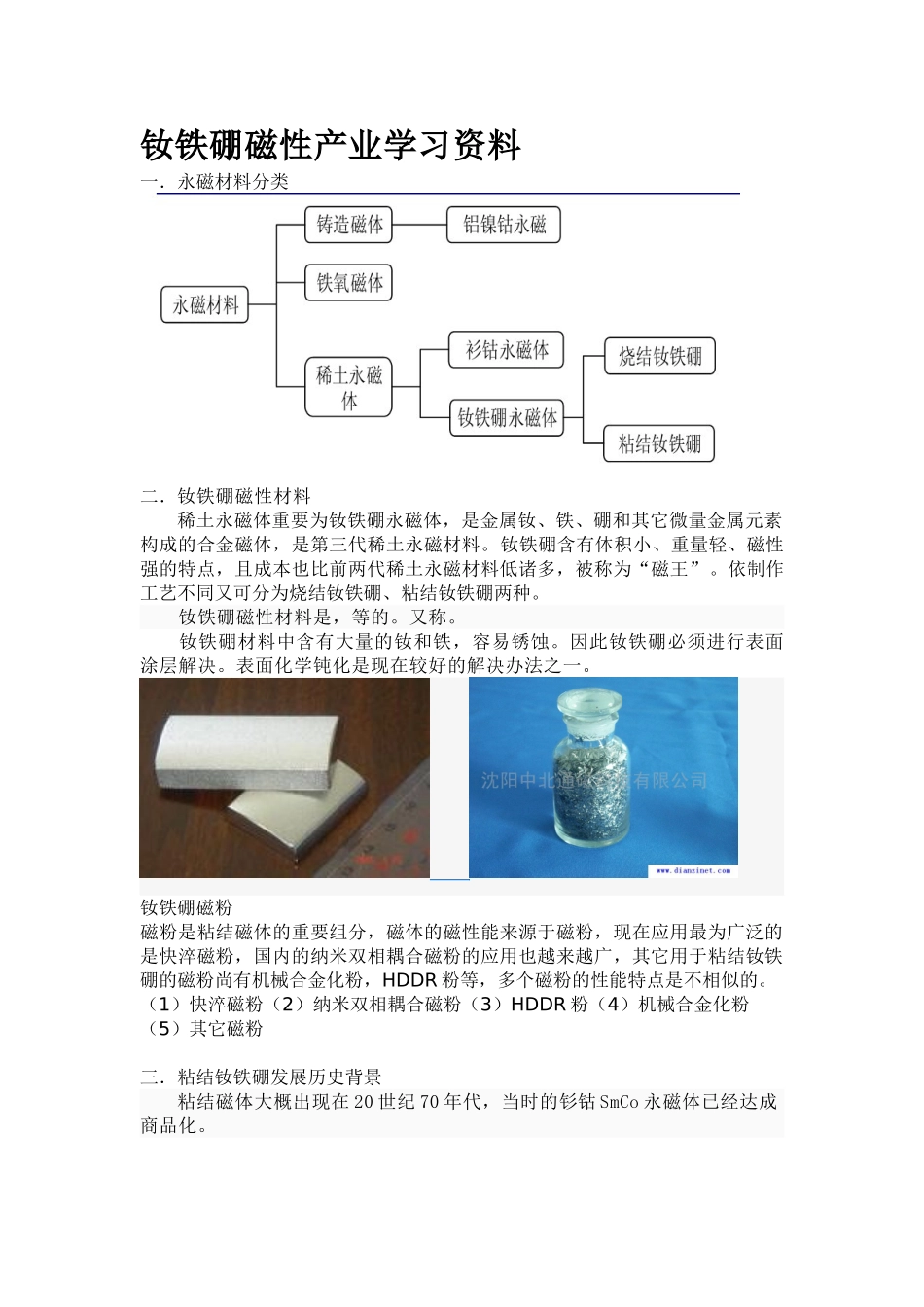 2025年钕铁硼磁性材料产业学习资料_第1页