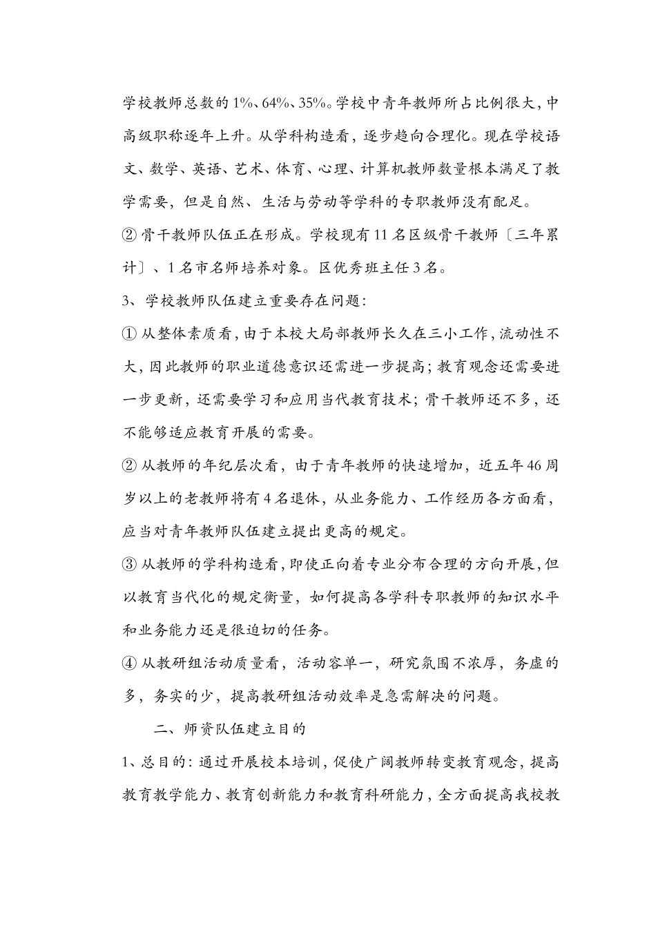 2025年师资队伍建设规划_第2页