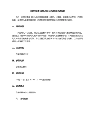 2025年幼儿园半日活动观摩活动方案