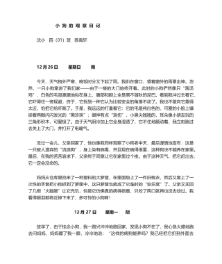 2025年小狗观察日记