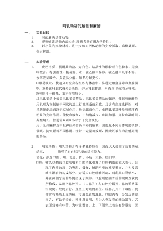 2025年小鼠解剖哺乳动物结构及解剖