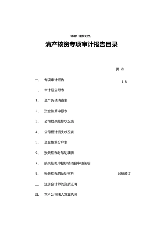 2025年清产核资专项审计报告