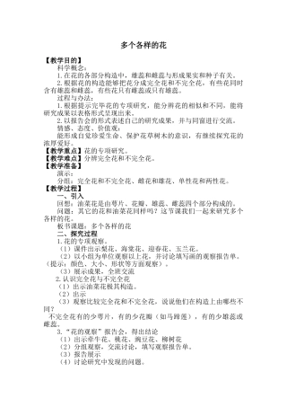 2025年各种各样的花教案