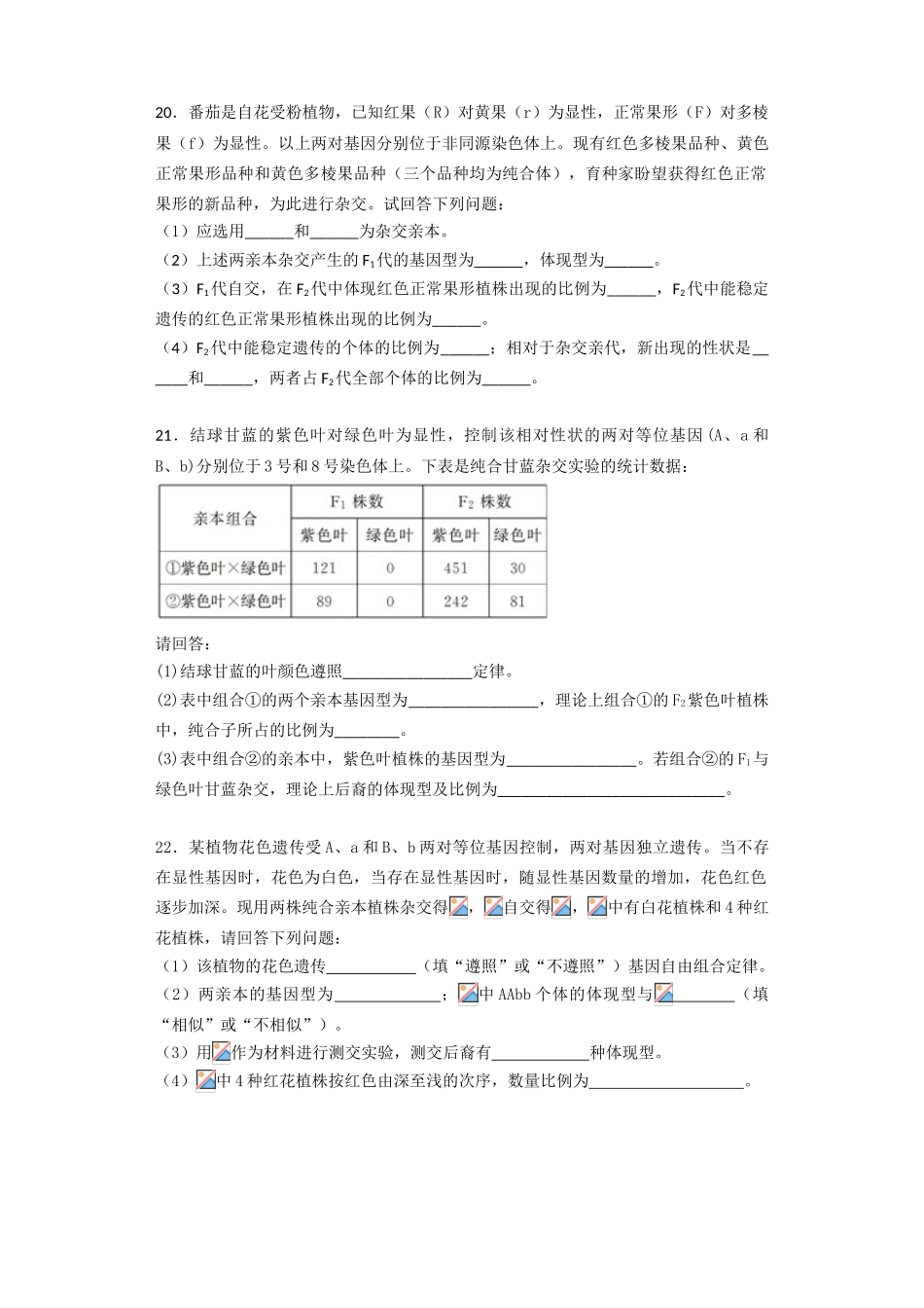 2025年孟德尔豌豆杂交实验二习题_第3页