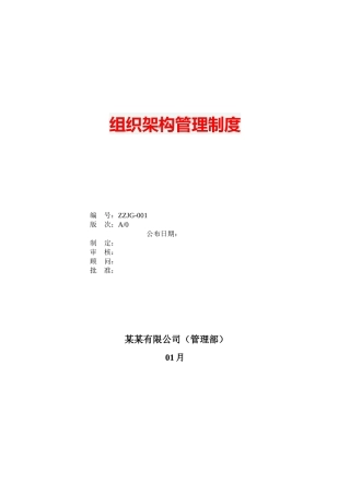 2025年组织架构管理制度