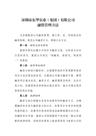 2025年集团公司融资管理办法