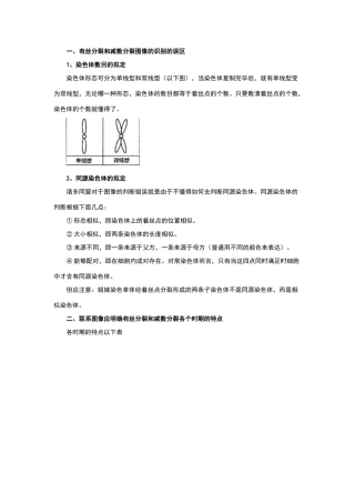 2025年有丝分裂和减数分裂图像识别题型的分析归类