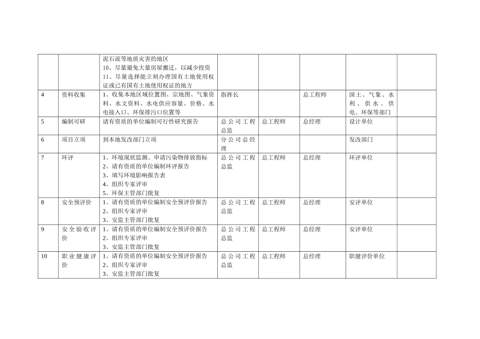 2025年项目实施责任表_第3页