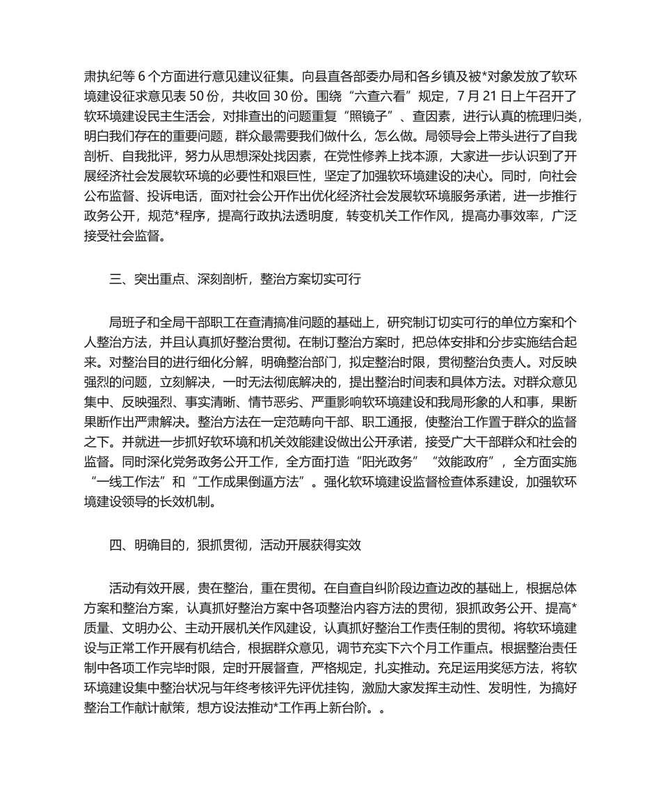 2025年软环境建设工作总结_第2页