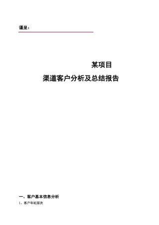 2025年客户分析报告