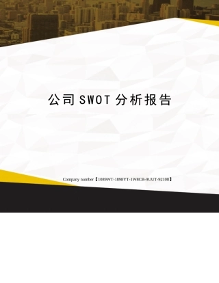 2025年公司SWOT分析报告