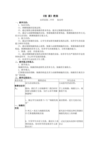 2025年细菌教案