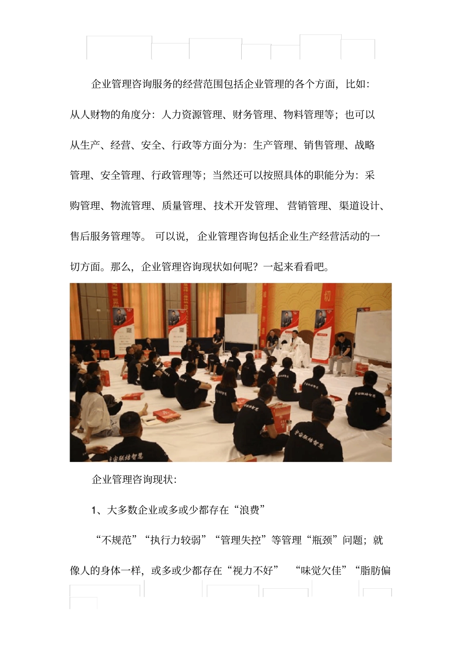 企业管理咨询现状分析报告_第1页