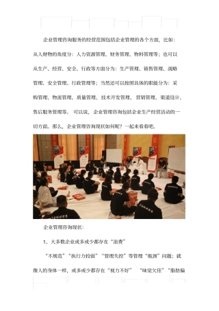 企业管理咨询现状分析报告