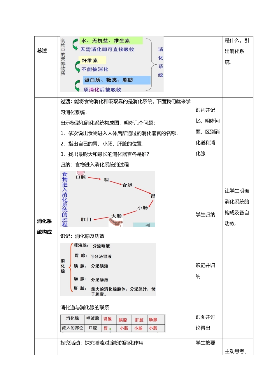 2025年消化和吸收教案_第3页