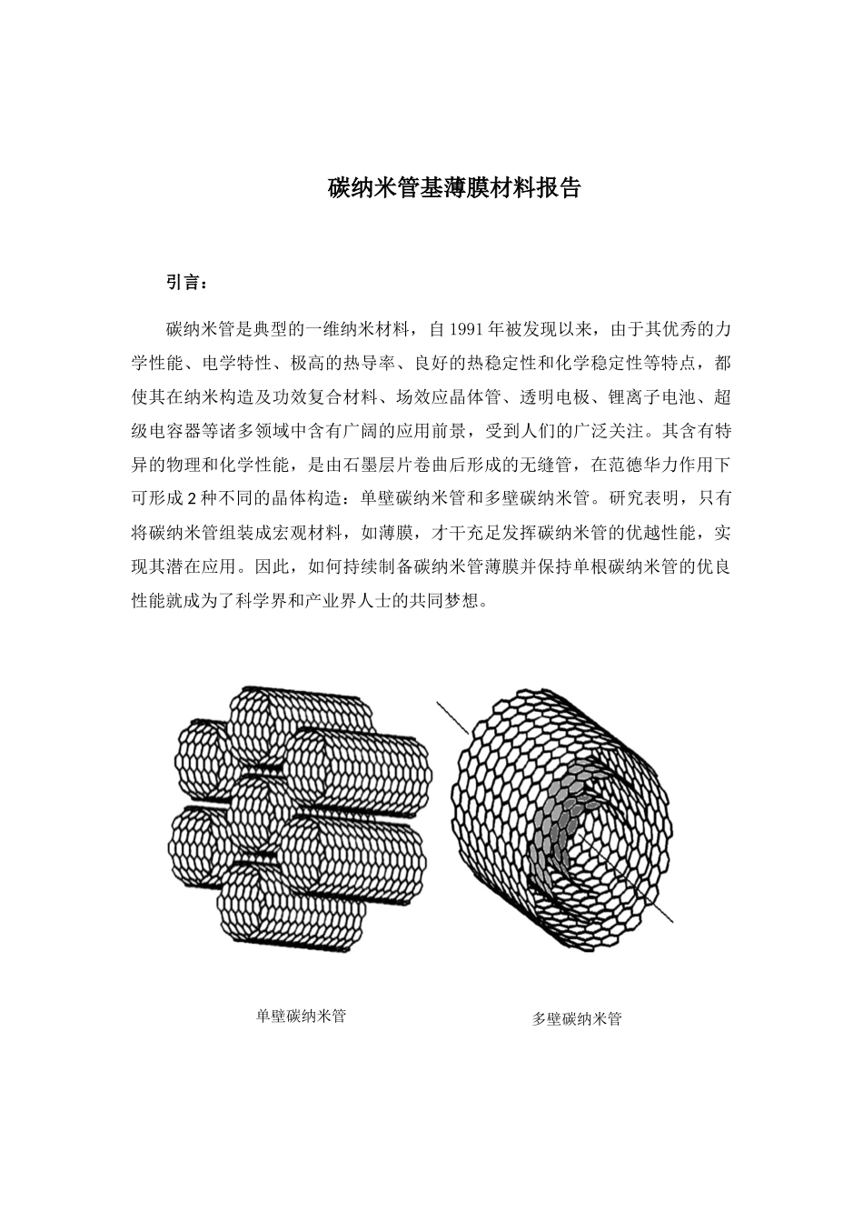 2025年碳纳米管基薄膜材料报告_第1页