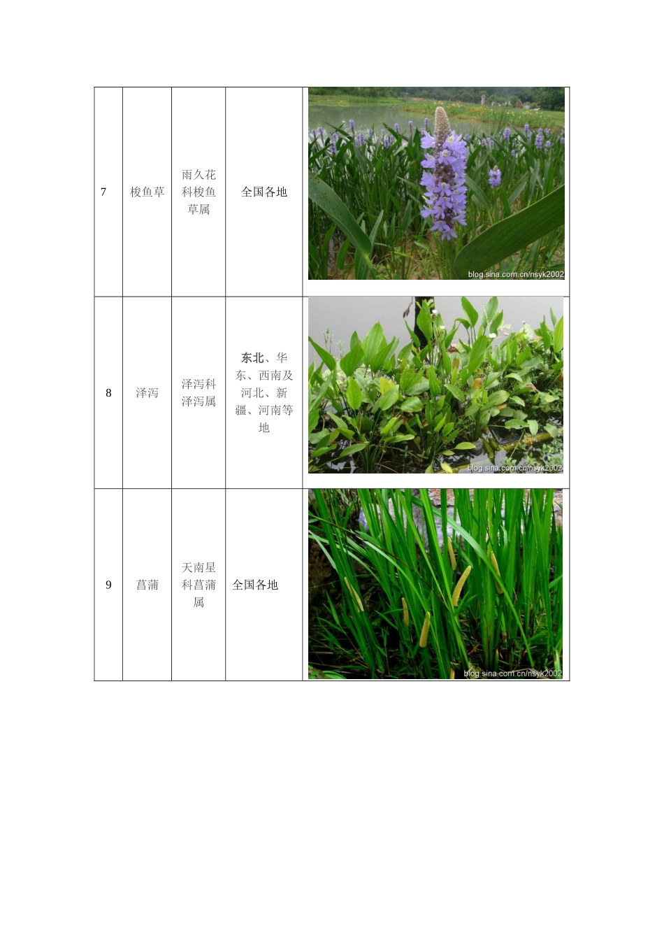2025年挺水植物分类和适用范围_第3页