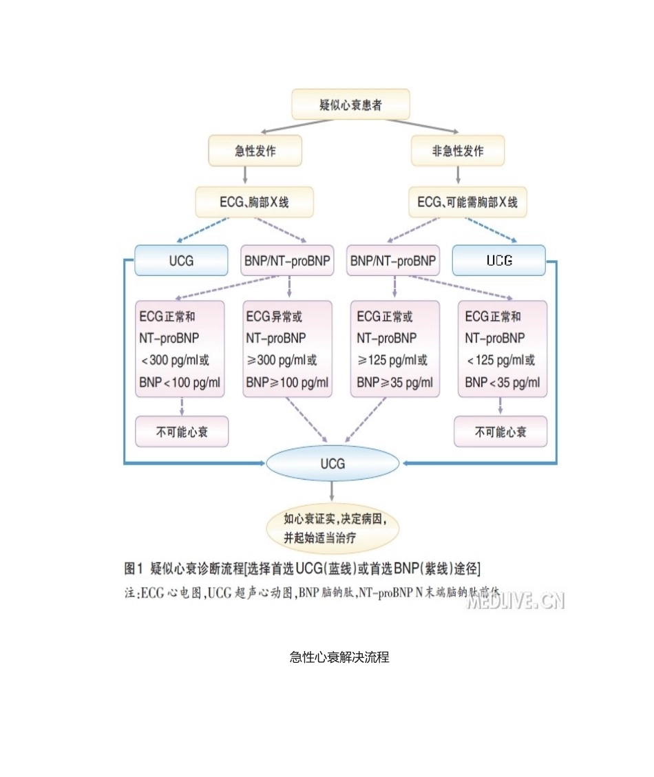 2025年心衰诊疗流程图_第1页