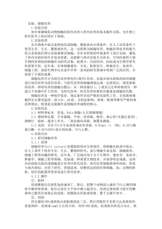2025年原代细胞培养实验报告