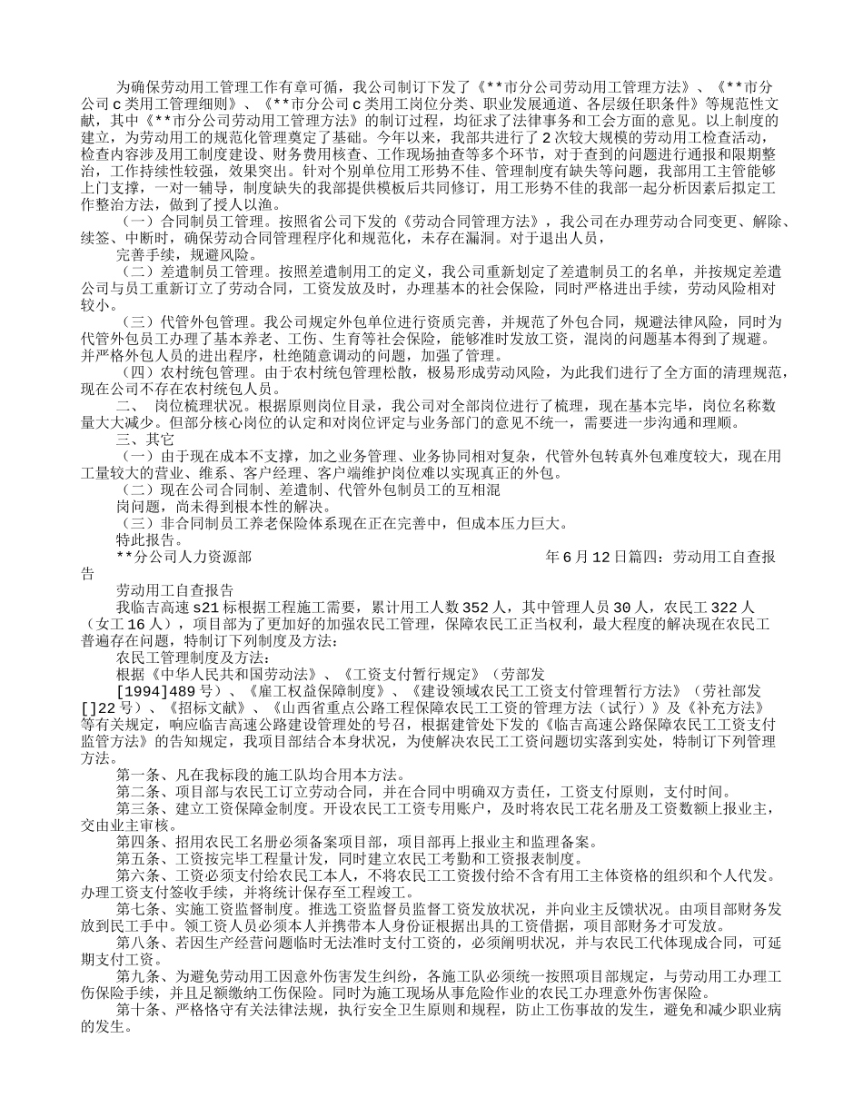 2025年用工自查报告_第2页