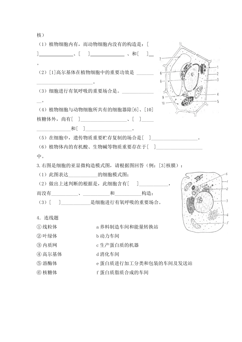 2025年细胞器专项练习题_第2页
