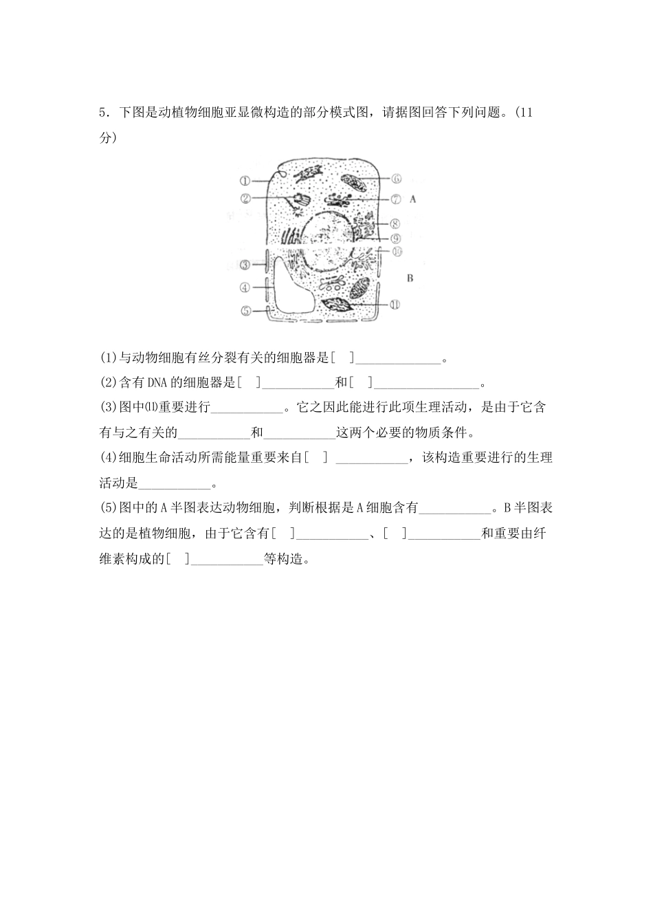 2025年细胞器专项练习题_第3页