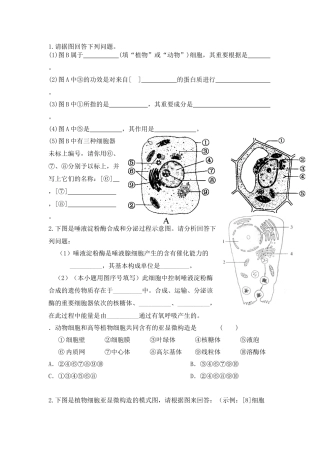 2025年细胞器专项练习题