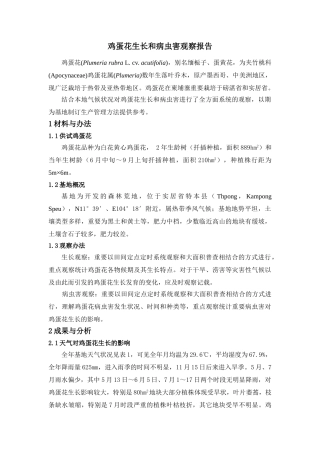 2025年柬埔寨鸡蛋花生长和病虫害观察报告