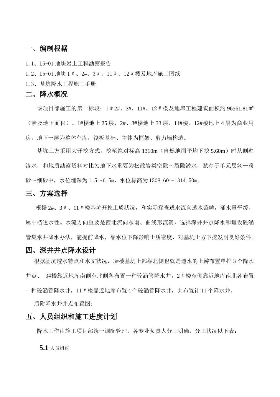 2025年深井井点降水施工方案_第2页