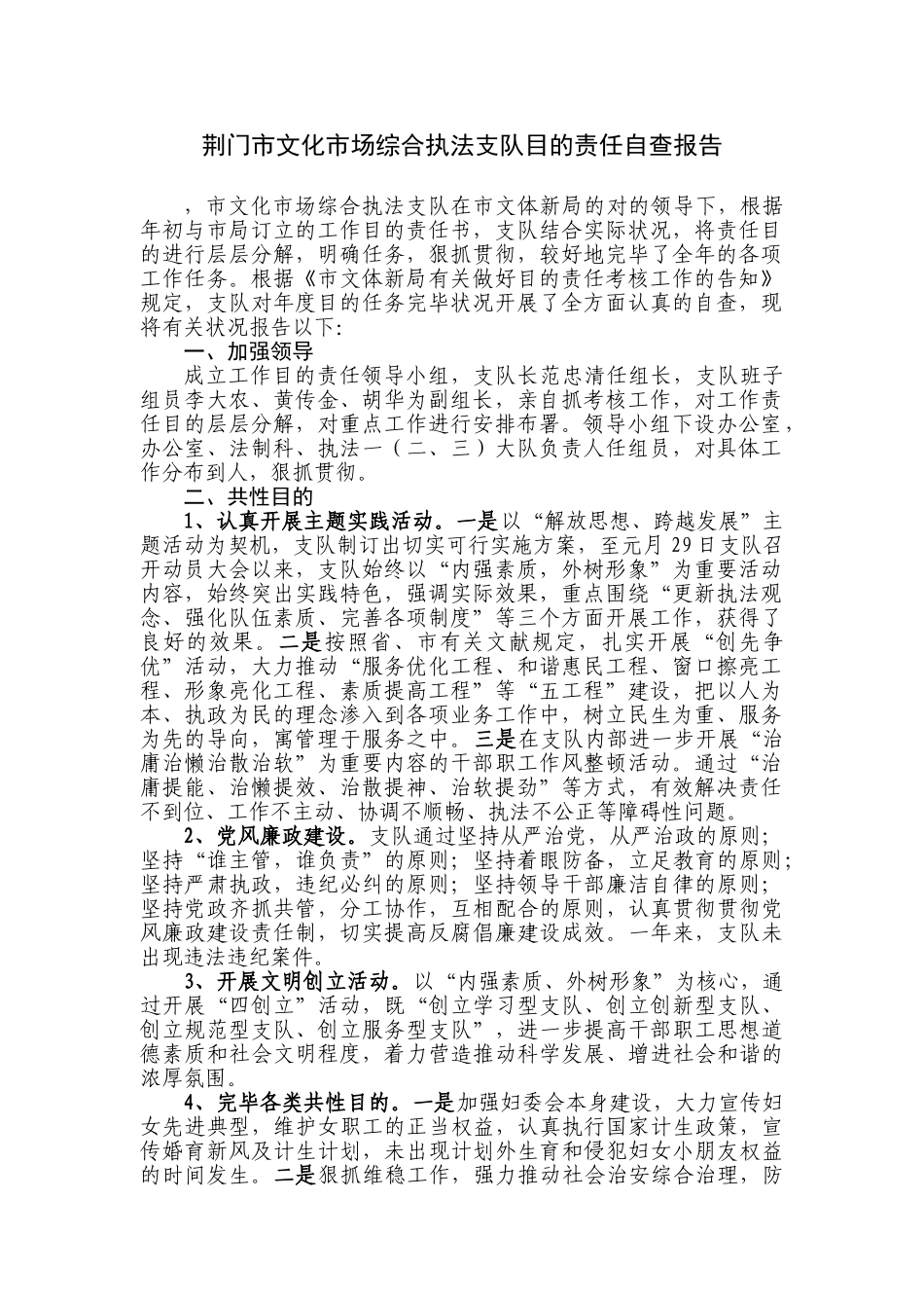 2025年目标责任自查报告_第1页