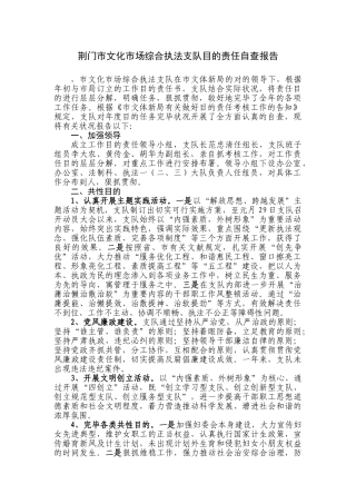 2025年目标责任自查报告