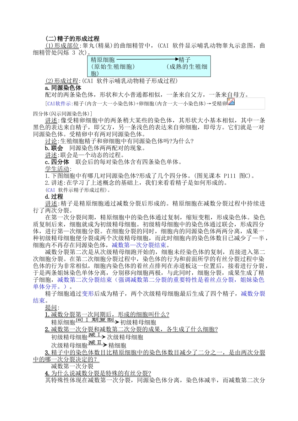 2025年减数分裂教案_第3页