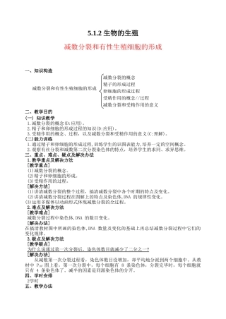 2025年减数分裂教案